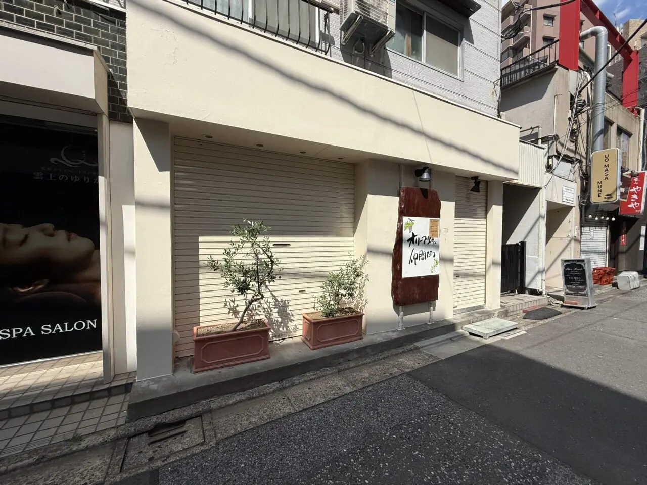 オリーブ畑の仲間たち