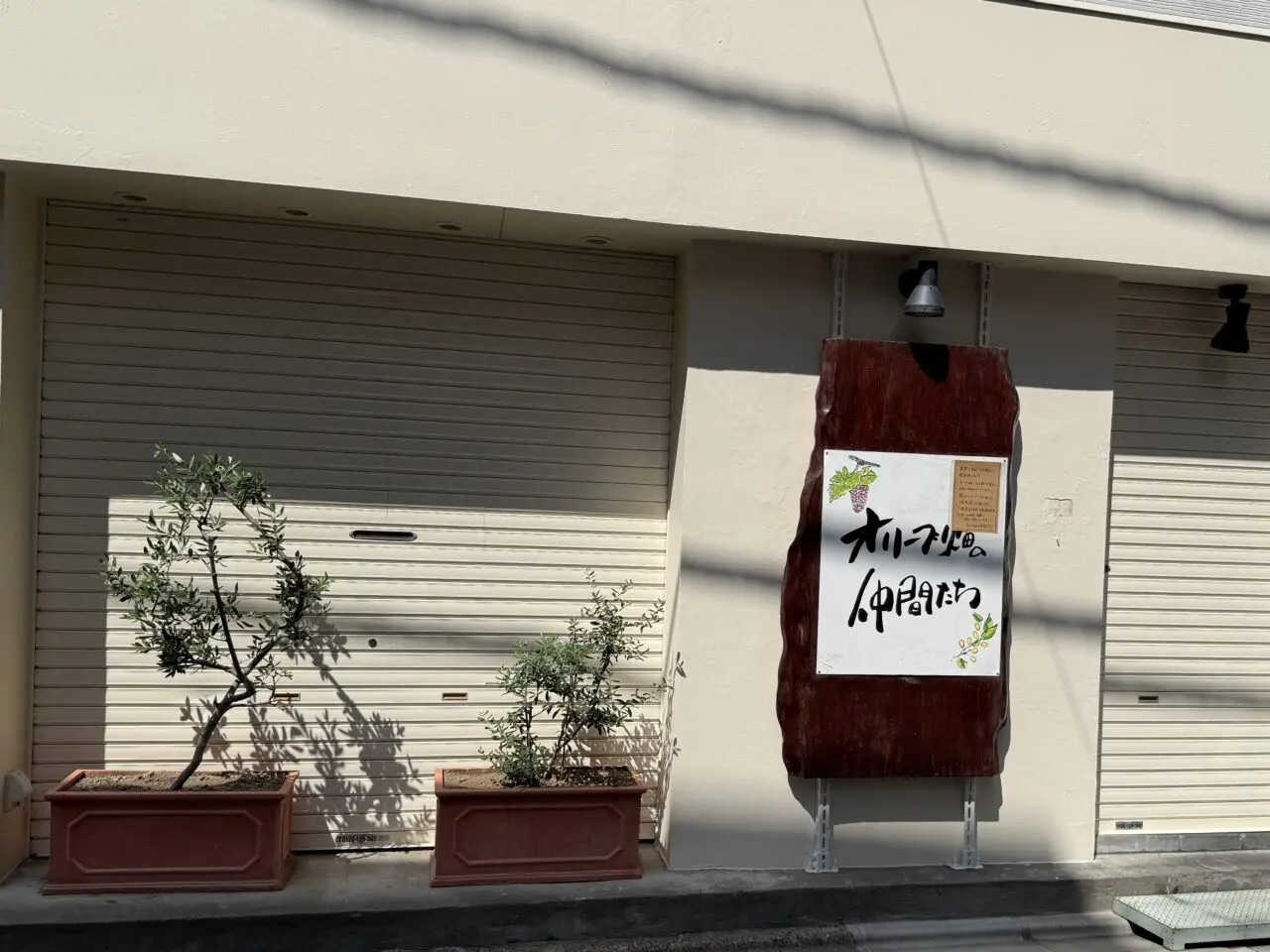 オリーブ畑の仲間たち