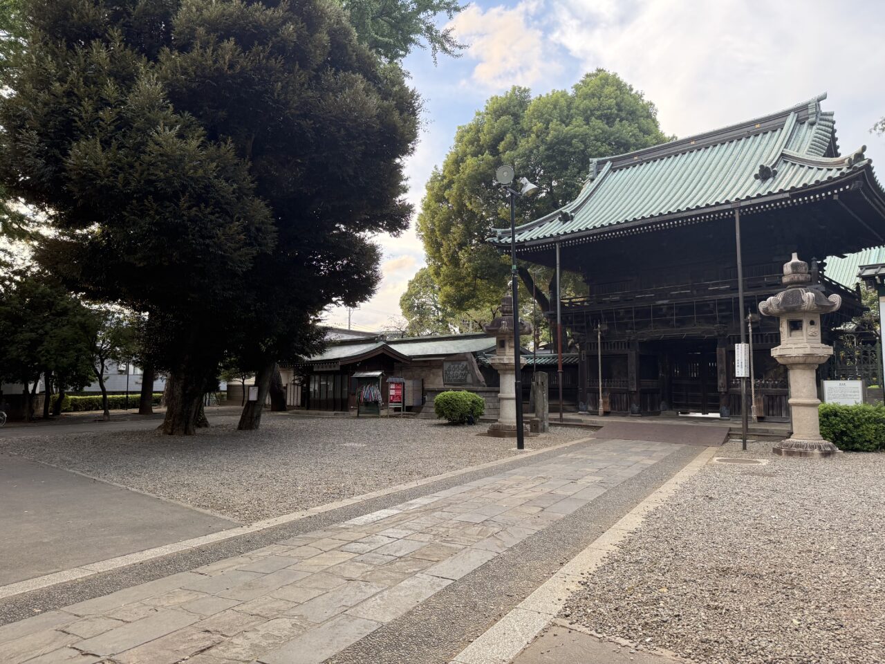 千日紅市