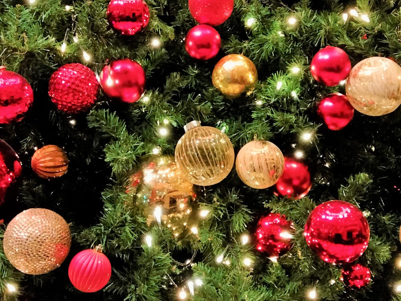 はっぴぃクリスマスナイトイン杉並公会堂開催