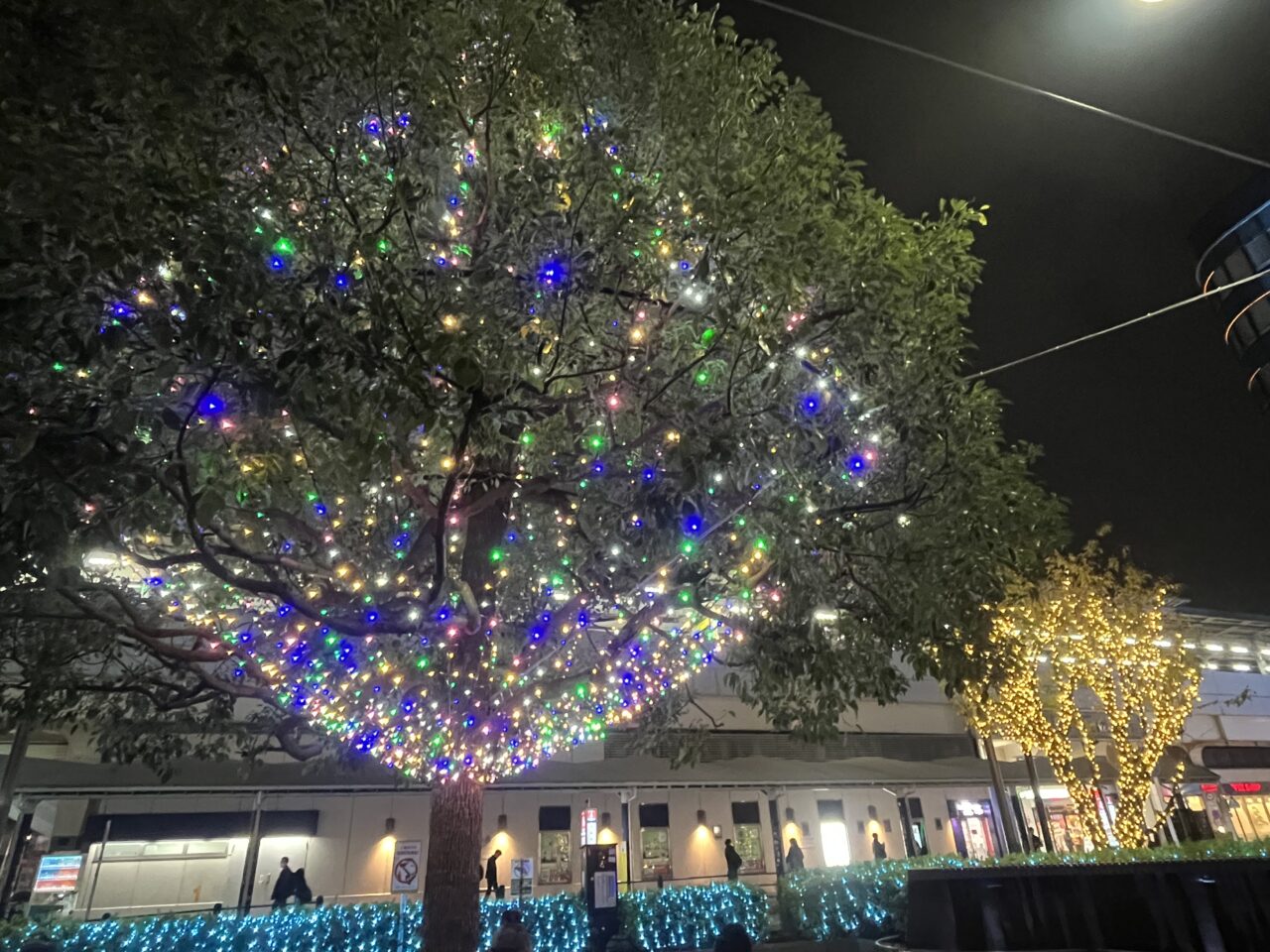 2025高円寺イルミネーション