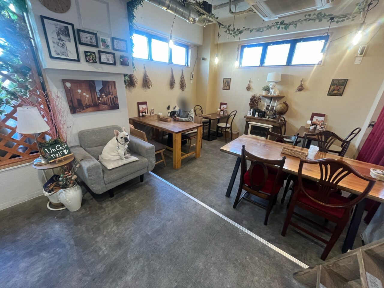 アンシャノワール 