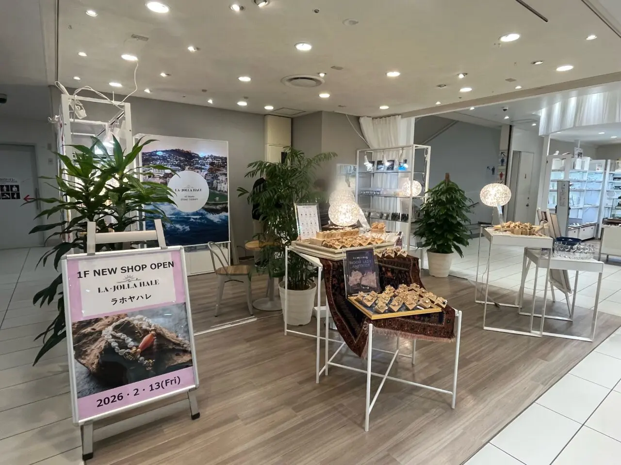 ラ・ホヤ　ハレ