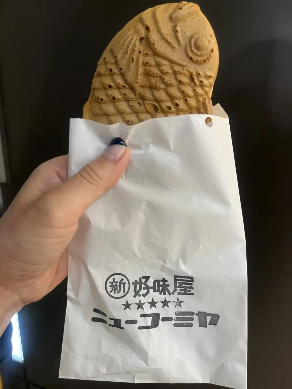 ニューコーミヤ