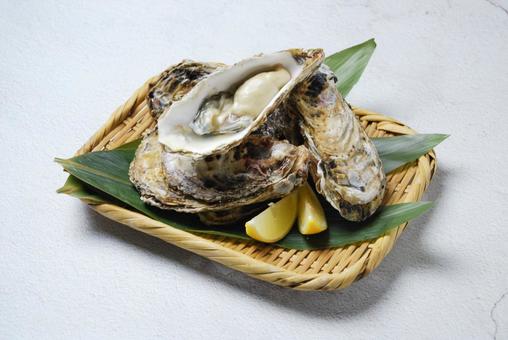 生牡蠣