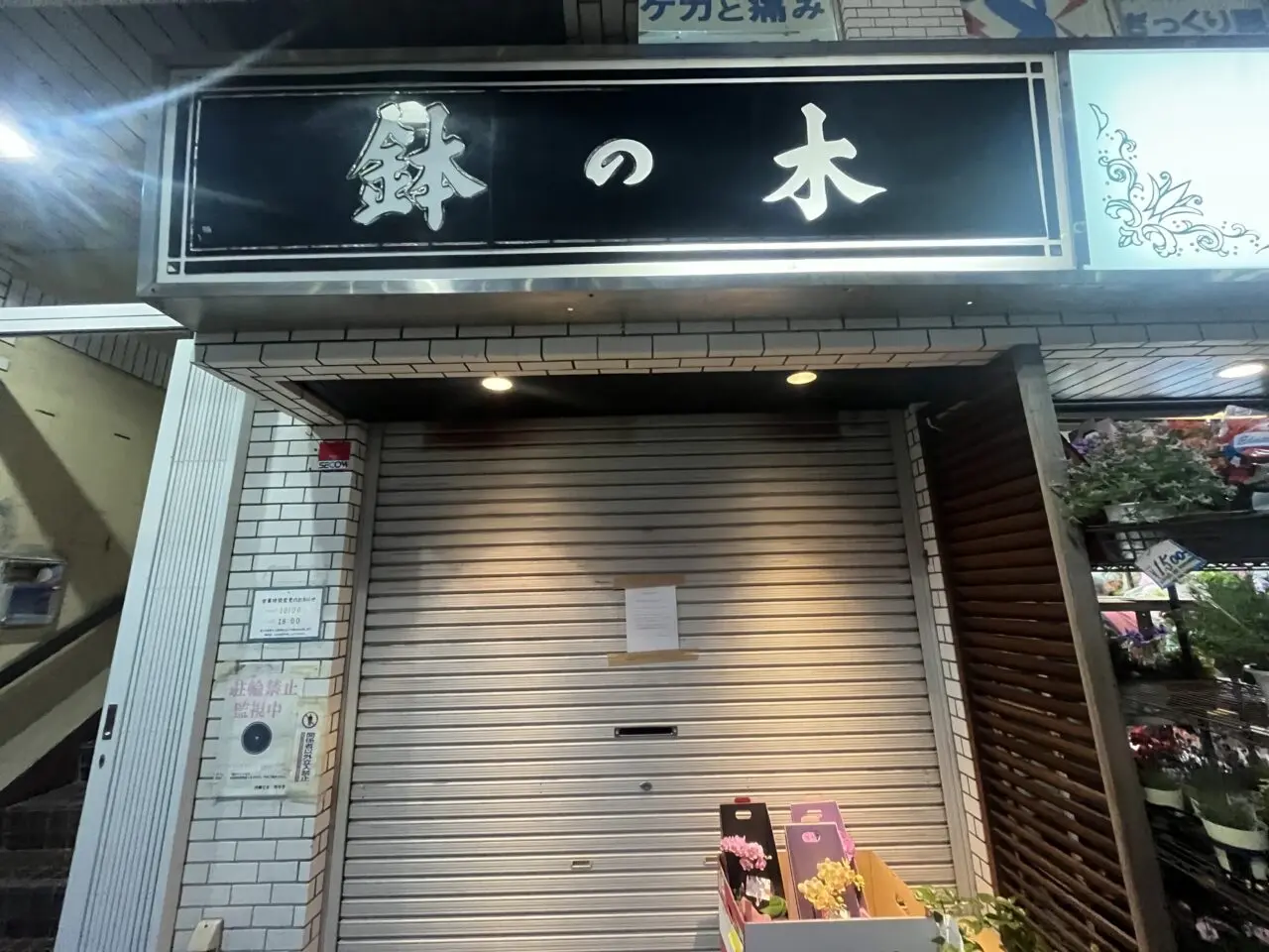 鉢の木