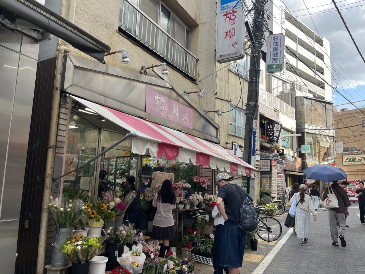 花の柳や