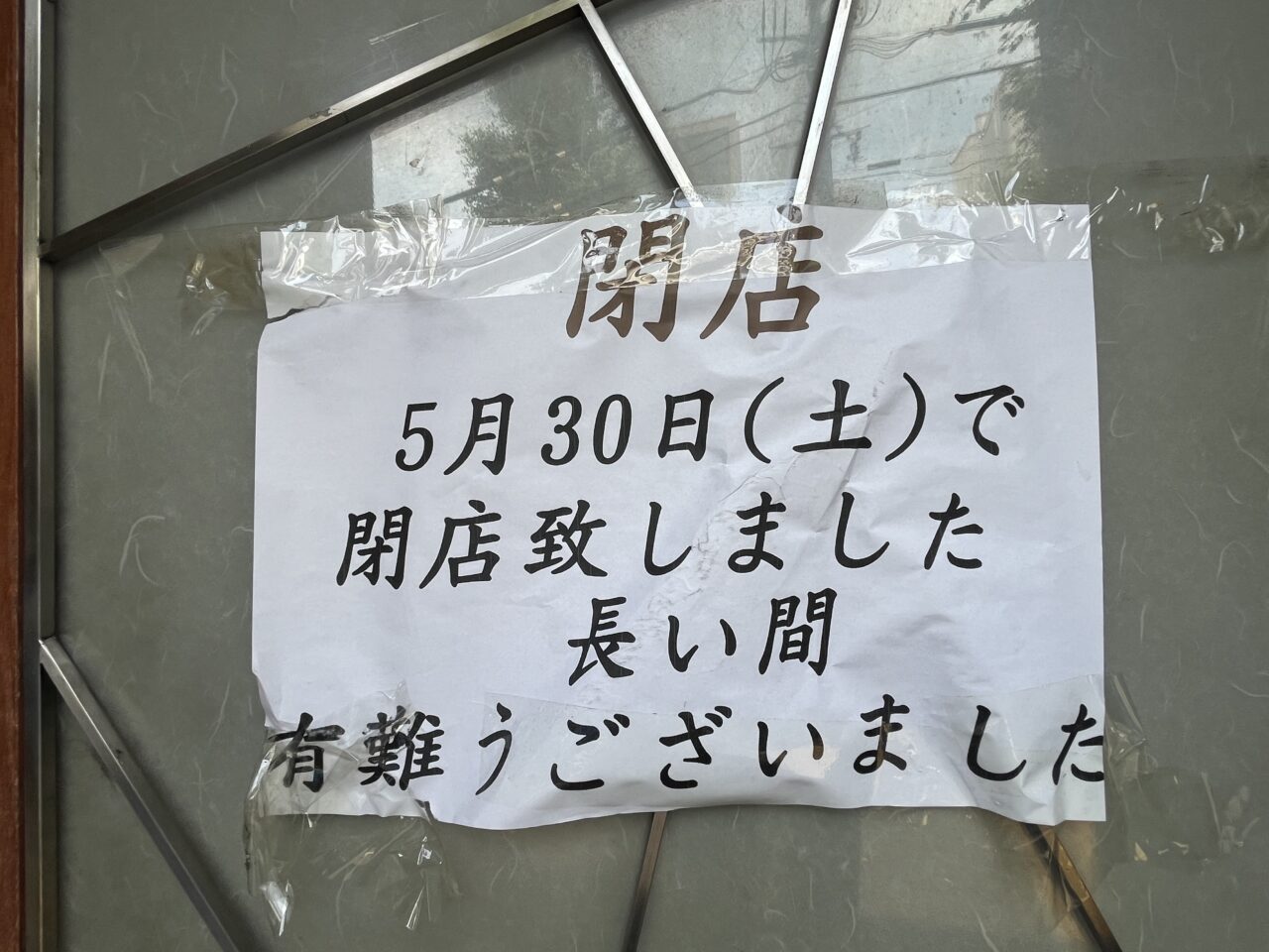 すてふぁにー