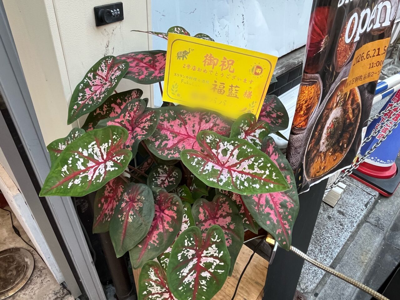 FukuLan