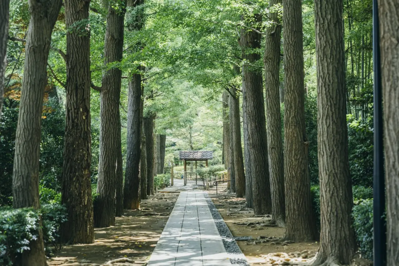 大田黒公園