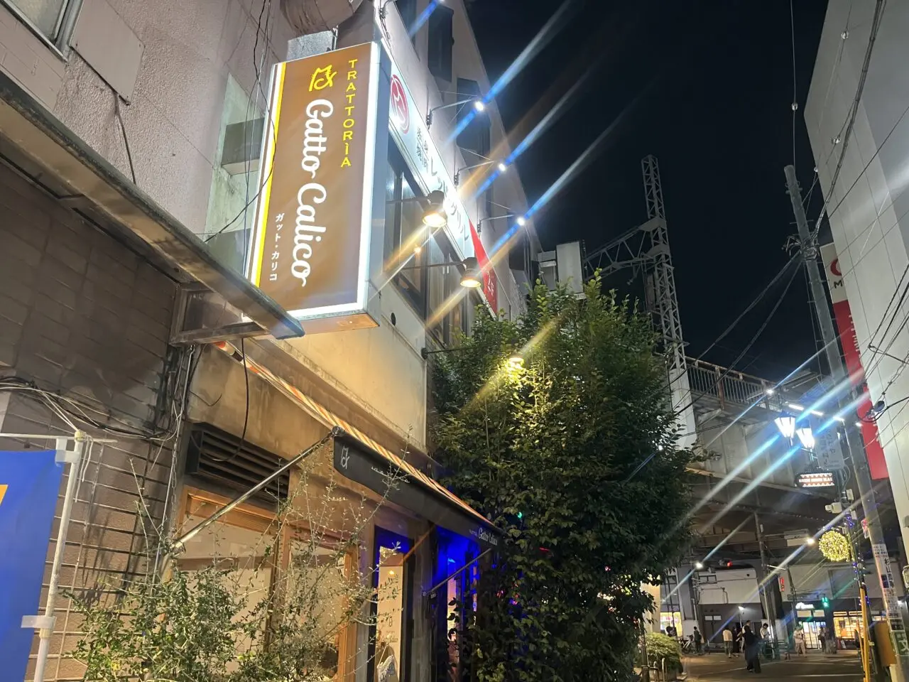 ガットカリコ