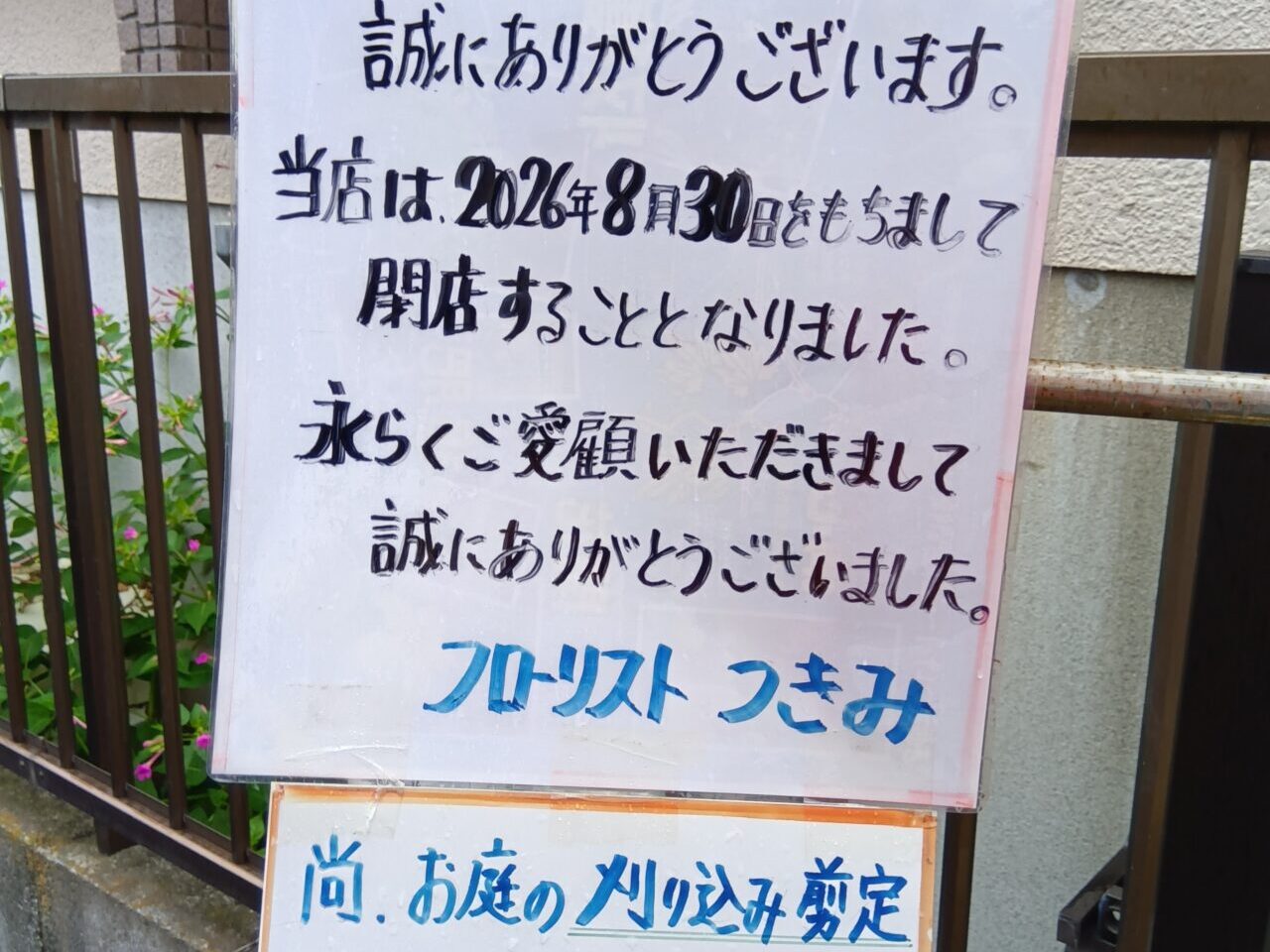つきみ