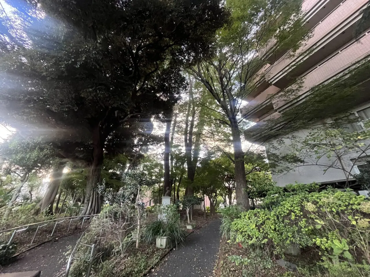 タムス杉並病院